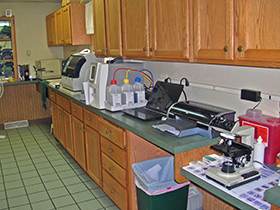 Lab