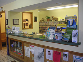 Receptionist