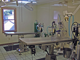 Surgery