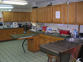 Treatment area