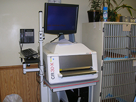 Xray2